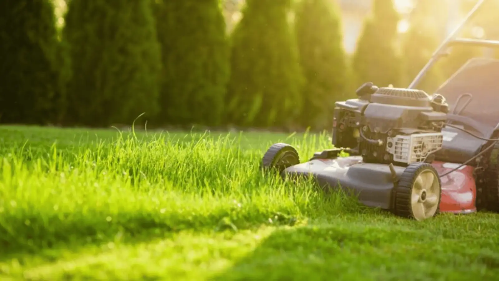 MDA Services — lawn care in Grasmere